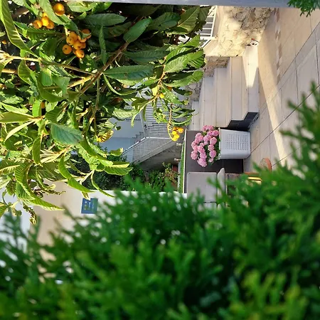 Charmy Petra With Pool דירה מאקרסקה