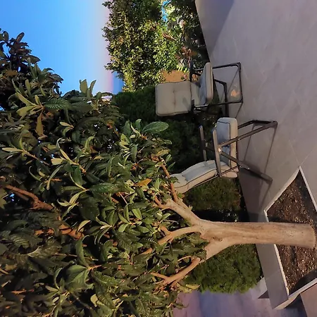 Charmy Petra With Pool * מאקרסקה